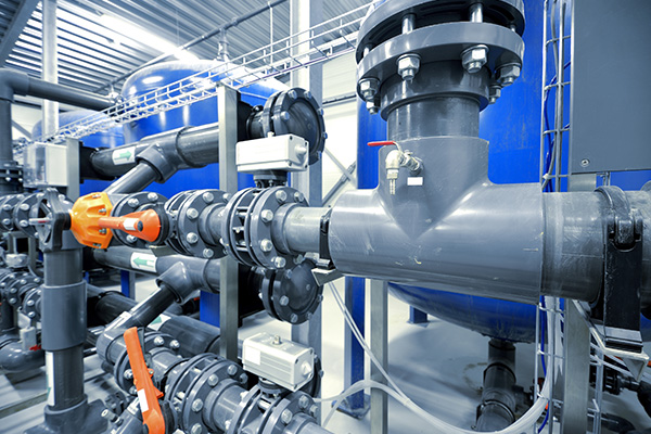 सामान्य वाल्व संरचनाएं और विशेषताएं